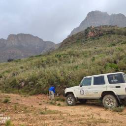 Deploying the survey with Witblitz the Cruiser